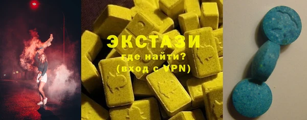стаф Алзамай