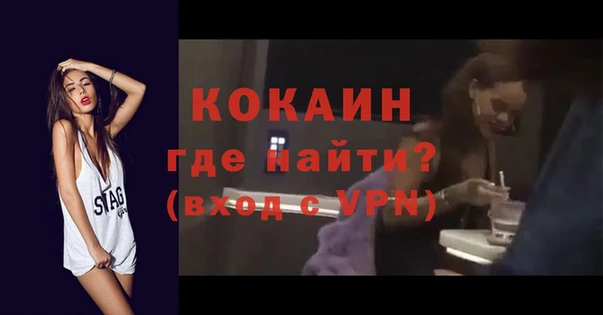 стаф Алзамай