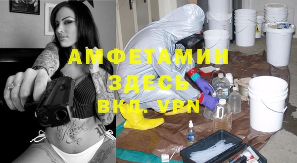 стаф Алзамай