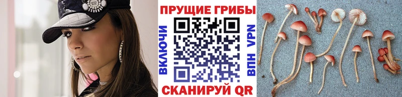 цены   Нефтекамск  Галлюциногенные грибы ЛСД 