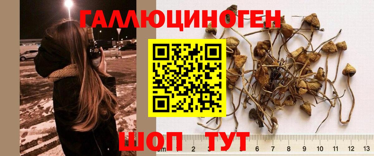 Нефтекамск  Псилоцибиновые грибы мицелий  Галлюциногенные грибы Psilocybe  Вход с VPN 